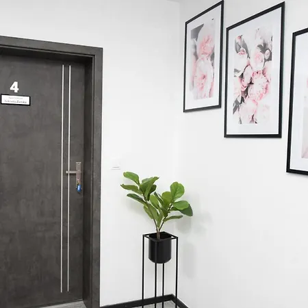 Wakacyjne Historie - Nowoczesne I Komfortowe Ze U Podnoza Snieznika Appartement *