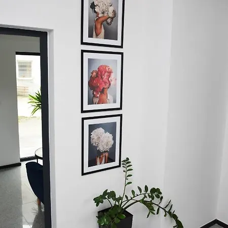 Wakacyjne Historie - Nowoczesne I Komfortowe Ze U Podnoza Snieznika Appartement Międzylesie