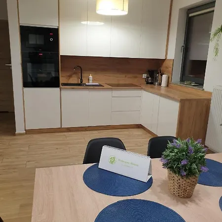 Wakacyjne Historie - Nowoczesne I Komfortowe Ze U Podnoza Snieznika Appartement Międzylesie