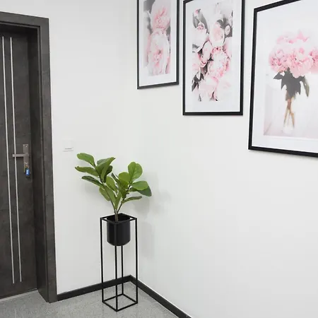 Wakacyjne Historie - Nowoczesne I Komfortowe Ze U Podnoza Snieznika Międzylesie