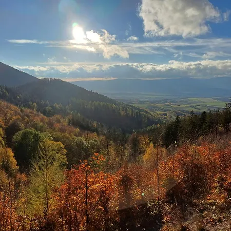 Wakacyjne Historie - Nowoczesne I Komfortowe Ze U Podnoza Snieznika Διαμέρισμα Międzylesie
