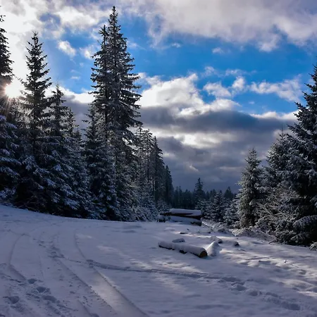 Wakacyjne Historie - Nowoczesne I Komfortowe Ze U Podnoza Snieznika Międzylesie