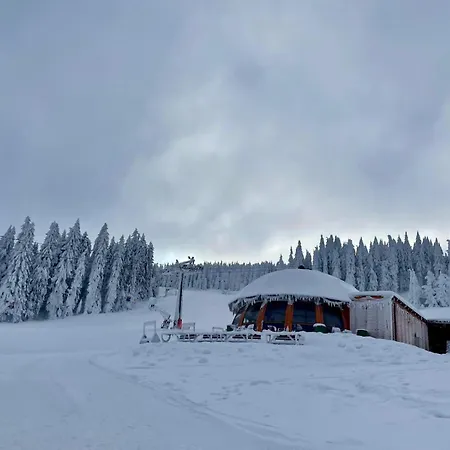 Wakacyjne Historie - Nowoczesne I Komfortowe Ze U Podnoza Snieznika Διαμέρισμα Międzylesie
