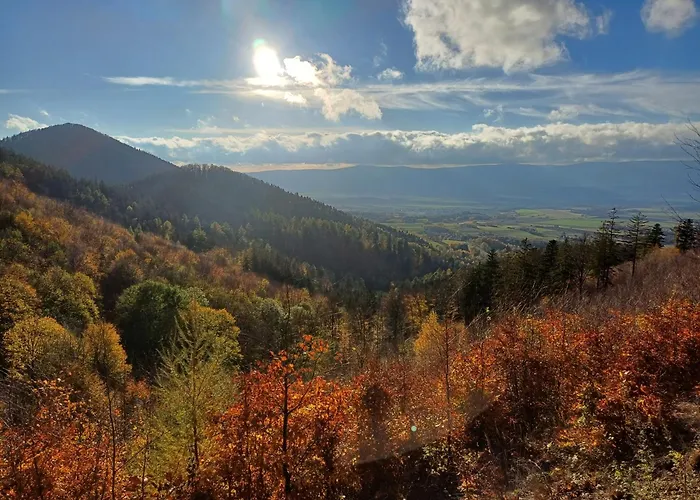 Wakacyjne Historie - Nowoczesne I Komfortowe Ze U Podnoza Snieznika Apartmán Międzylesie