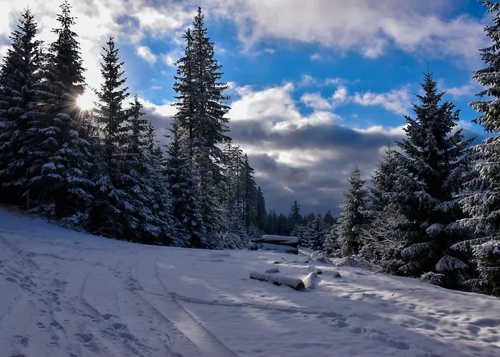 Wakacyjne Historie - Nowoczesne I Komfortowe Ze U Podnoza Snieznika Miedzylesie (Silesia)