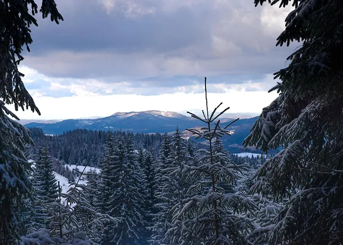 Wakacyjne Historie - Nowoczesne I Komfortowe Ze U Podnoza Snieznika