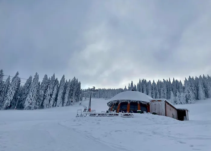 Wakacyjne Historie - Nowoczesne I Komfortowe Ze U Podnoza Snieznika Apartmán Międzylesie
